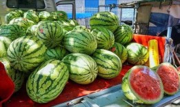 遵义网红吃瓜事件真相,揭秘背后真相与网络舆论的反思